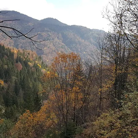 Gâlma